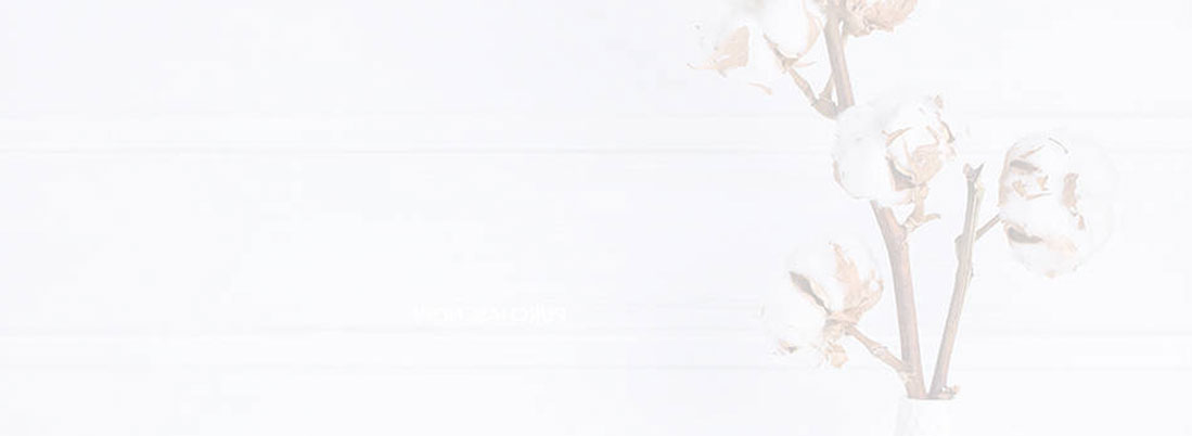 Cotton flowers in a simple vase against a white background.